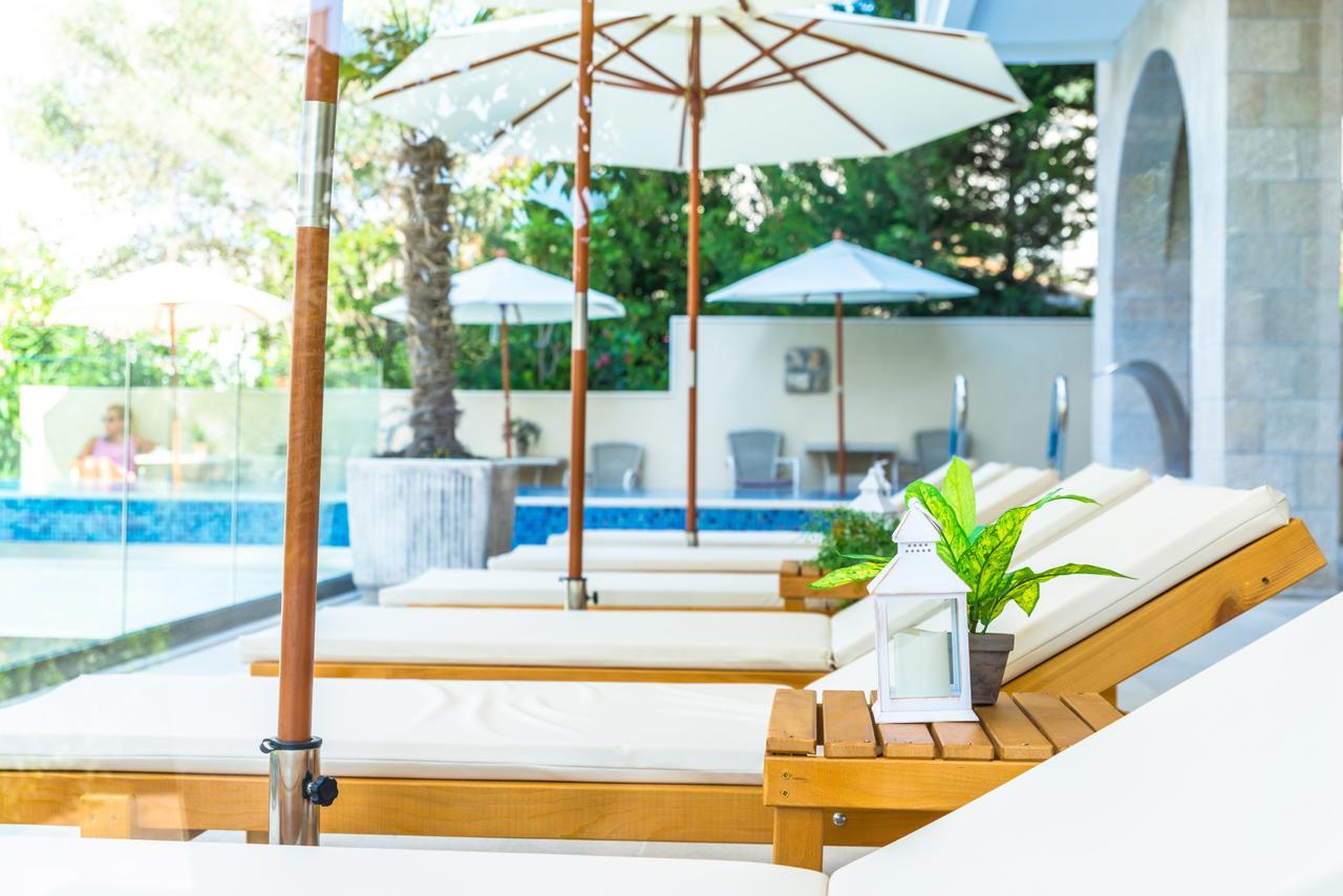 B&B Amfora Petrovac エクステリア 写真